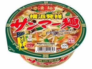  凄麺 横浜発祥サンマー麺 113g ｘ12 個_4セット