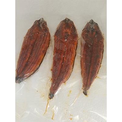 ふるさと納税 飯塚市 魚市場厳選 国産うなぎの蒲焼き(3尾)