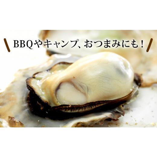 ふるさと納税 宮城県 石巻市 牡蠣 宮城県産 漁師の 牡蠣カンカン焼きセット（牡蠣15個）生牡蠣 殻付き牡蠣 蒸し牡蠣  焼き牡蠣 牡蠣小屋 三陸 かき 殻付き 宮…