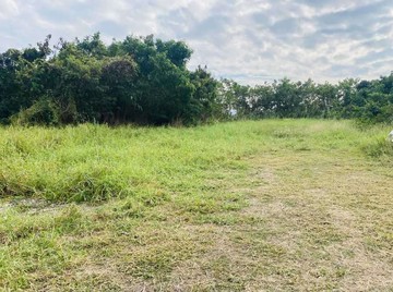 岡山⭐30米路旁⭐都內農地✔️近交流道✔️稀有釋｜高雄市岡山區和平段