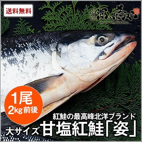 北洋産 甘塩紅鮭「姿」ロシア産 1尾 約2kg 送料無料 焼き魚 おかず 紅鮭 サーモン ギフト