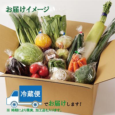 ふるさと納税 泉佐野市 泉州野菜 定期便 15種類以上 詰め合わせ 新鮮 冷蔵 全3回