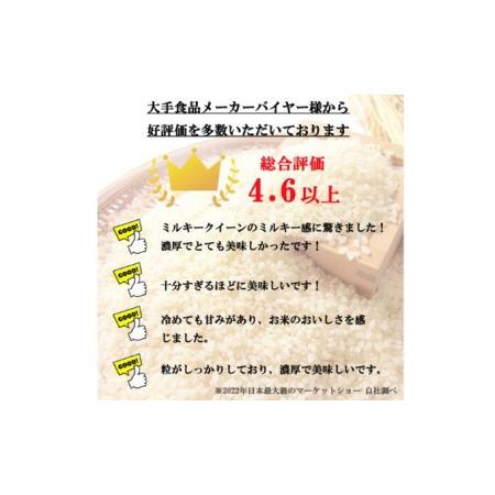 ふるさと納税 特別優秀賞受賞 長野県産 ミルキークイーン 2kg（無洗米） 長野県小諸市