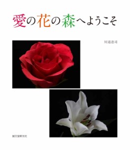  川辺浩司   愛の花の森へようこそ