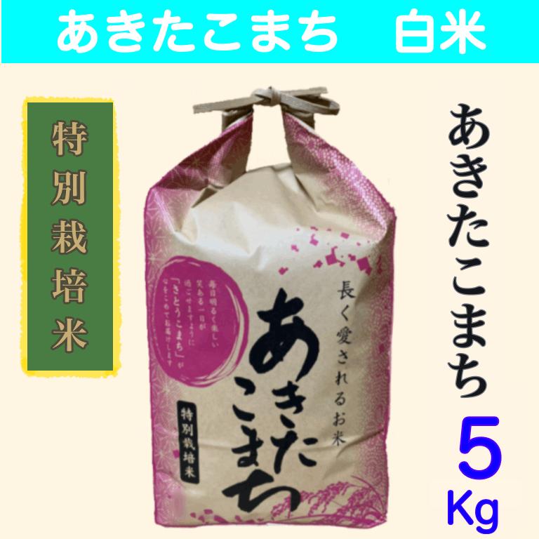 特別栽培米　白米５ｋｇ　秋田県大潟村産　あきたこまち白米５kg 令和5年産　農家直送５キロ　送料無料