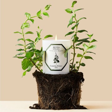 【Carrière Frères】青翠怡人 綠薄荷185g 香氛蠟燭l生日禮物 官方推薦 送禮首選 聖誕禮物