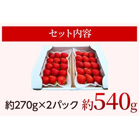 ふるさと納税 農家直送 朝採り新鮮いちご [(約270g)×2パック]＜2023年12月以降順次出荷予定＞ 福岡県田川市