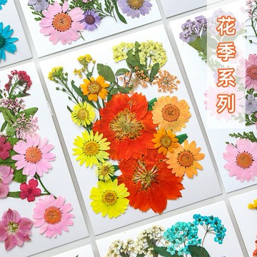 花季系列 花包組合 真花壓花 永生花 森林系 少女寫真 壁畫 DIY水晶滴膠 乾燥花 植物標本