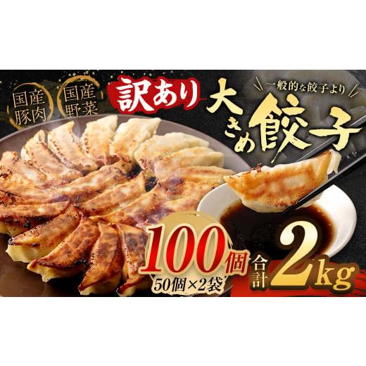 ふるさと納税 福岡県 岡垣町 大きめ餃子100個 合計2kg ラー麦