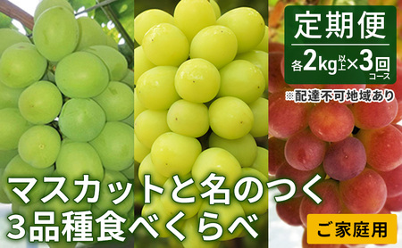 ぶどう 2024年 先行予約 ご家庭用 マスカット と名のつく3 品種 食べくらべ 定期便 3回 コース （各2kg以上）