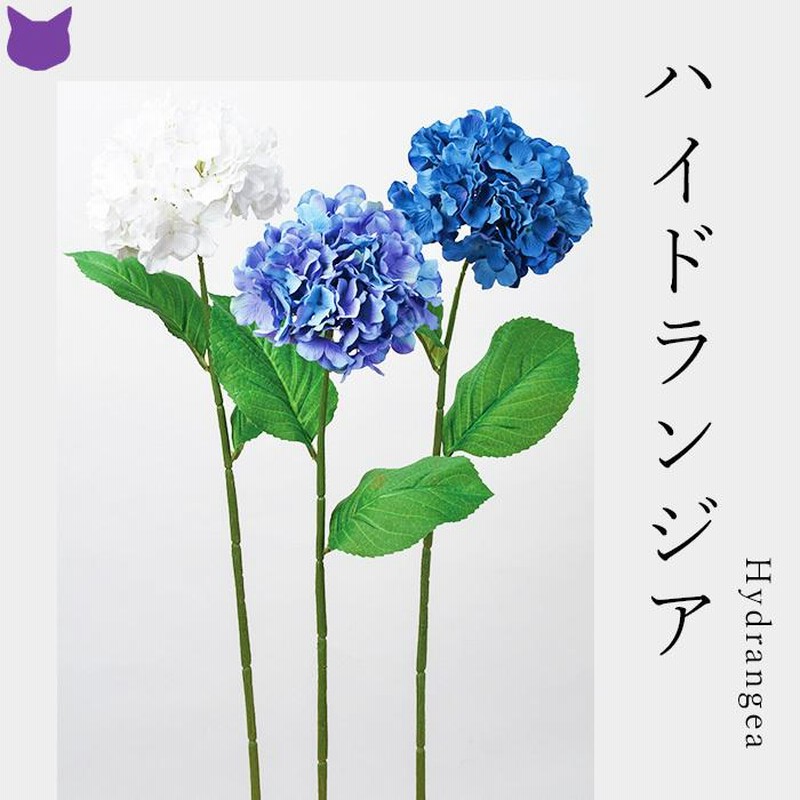 ハイドランジ ア ジサイ 紫陽花 ホワイト 白 ブルー 青 初 夏