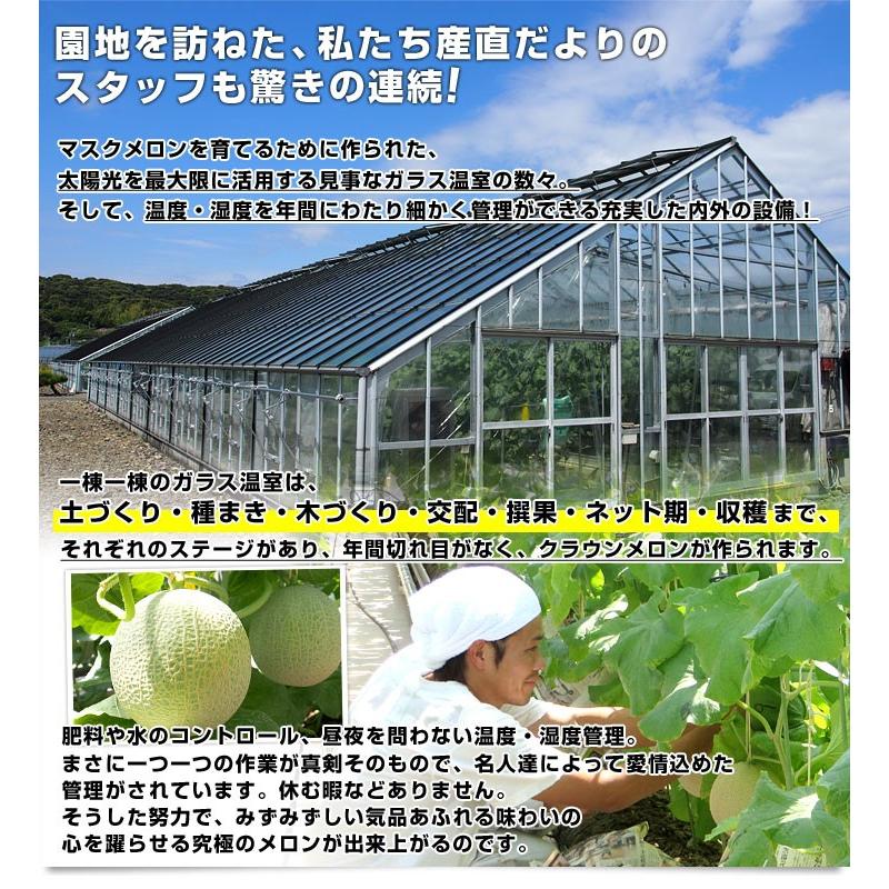 静岡県より産地直送　静岡県温室農業協同組合クラウンメロン支所　クラウンメロン　山　8から9キロ（5玉）　送料無料　メロン　めろん