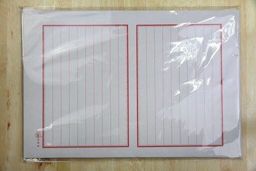 象球牌 101 模造十行紙 學生作文 學術報告 寫作 草稿 書信紙【APP滿額下單4%點數(單一帳號最高1000點)】7/31止