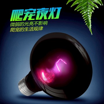【12H台灣出貨 全館免運】UVA 月光夜間燈泡 諾摩 加溫燈 曬背燈 陸龜燈 爬蟲燈 UVA燈 加熱燈 生態模擬