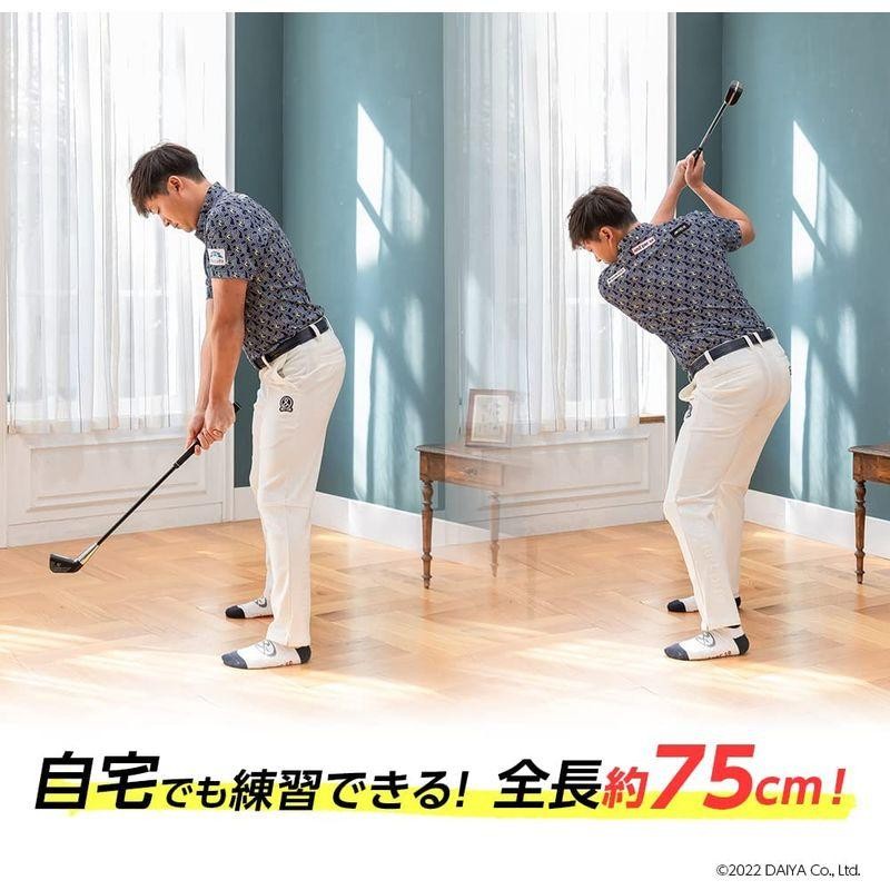 ダイヤゴルフ(DAIYA GOLF) スイング練習器具 ダイヤスイングLED 光る