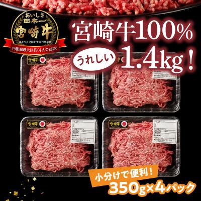 ふるさと納税 延岡市 A4〜A5 小分け 合計1.4kg(350g×4パック)