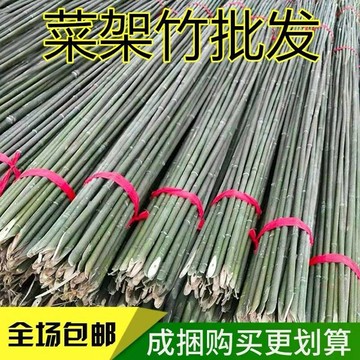 小竹子菜園搭架竹竿 戶外旗桿籬笆圍欄 黃瓜豆角爬藤菜架竹桿支架