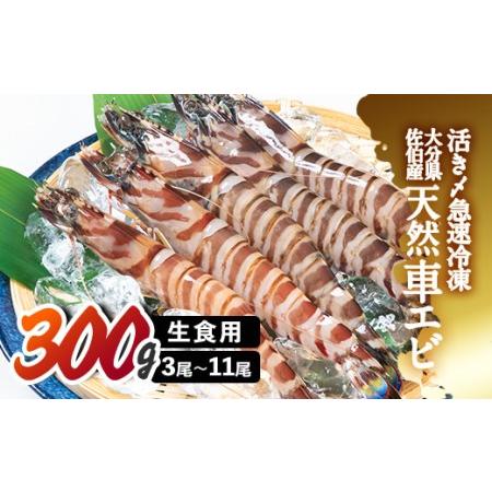 ふるさと納税 天然 活き車エビ 生食用 (計300g) エビ 海老 車海老 冷凍 刺身 さしみ 天ぷら 塩焼 バーベキュー 国産 大分県産 大分県 佐伯市 や.. 大分県佐伯市