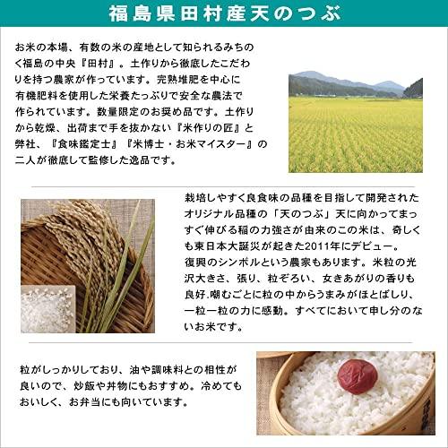 福島県産 検査済一等米 玄米 天のつぶ 30kg 令和5年産