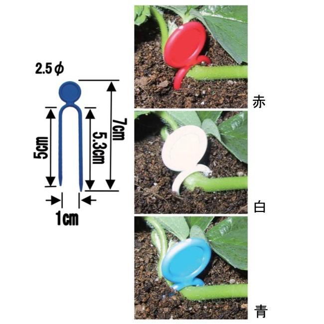 槍木産業（うつぎ） いちご ランナー押さえピン ミニプラ君 深さ5cm 青 2000本