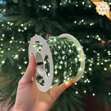 【閃亮滿天星】LED小彩燈 聖誕燈串 銅線燈 裝飾燈 氛圍燈 串燈 場景佈置 房間裝飾 聖誕樹裝飾 防水節日燈