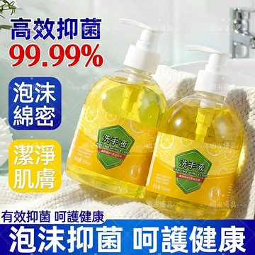 台灣出貨🎉抑菌洗手液 長效保護 溫和不傷手 泡沫洗手慕斯 按壓瓶 清香洗手乳  潔手液 手部清潔 洗手露 保濕洗手液