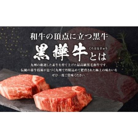 ふるさと納税 九州産黒毛和牛 杉本本店 黒樺牛 A4~A5等級 ヒレステーキ 計300g 熊本県宇城市