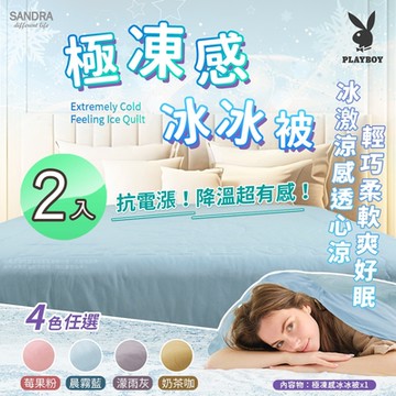 【Sandra仙朵拉】 PLAYBOY 極凍感冰冰被x２入(150x200cm/涼被/涼感被/薄被/四季被 )