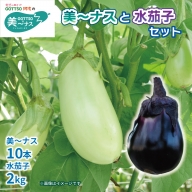 野菜 なすび 茄子 美～ナス 10本 水茄子 約2kg 詰め合わせ セット 朝どれ 産地直送