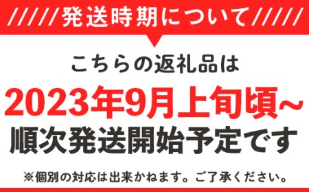 12-16茨城県産アールスメロン1個