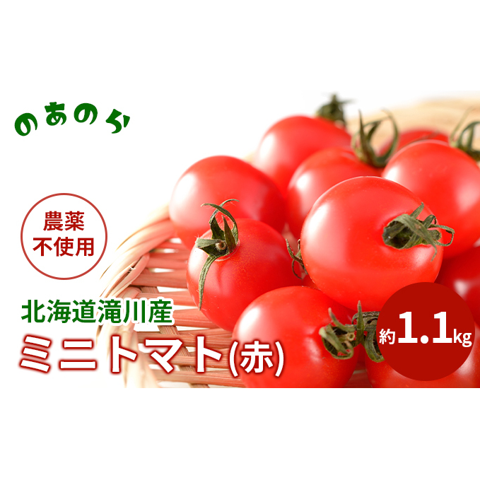  北海道 滝川市 産 ミニトマト (赤) 約1.1kg トマト 野菜 やさい みにとまと