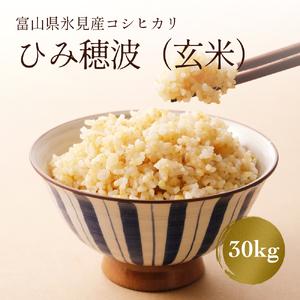 ふるさと納税 令和5年産富山県産コシヒカリ《ひみ穂波》30kg ＜10月以降順次発送＞富山県 氷見市 こしひかり 30kg 玄米 富山県氷見市