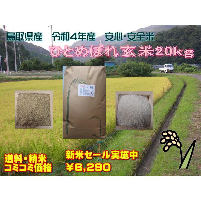 鳥取県令和5年産　新米ひとめぼれ 玄米20kg　条件付き送料無料 精米無料