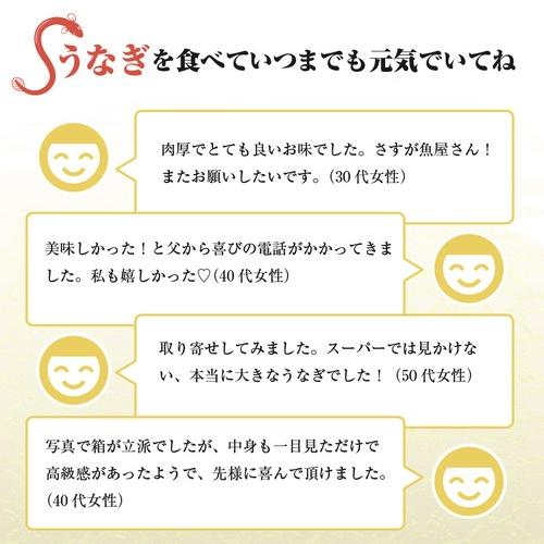 特大うなぎ蒲焼(185g〜215g）ｘ2本  国産　高級　冷凍便　九州産 最安値挑戦 ベストお取り寄せ大賞　銅賞受賞　贅沢　ギフト