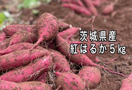 ポテト小屋の生さつまいも 5kg 送料無料　 さつまいも　紅はるか　鹿嶋市 (KBR-3)