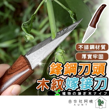 【台灣現貨-免運】嫁接刀 園藝刀 修枝刀 嫁接 園藝工具 嫁接工具