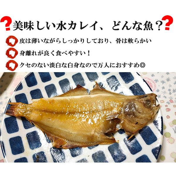 水カレイ 5枚セット 一夜干し 島根県産 干物 送料無料 かれい おかず