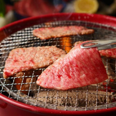 飛騨牛 肉 牛肉 ヒレ 焼肉 A5 A4 ギフト 飛騨牛 和牛 国産 赤身 焼き肉 焼肉用 贈り物 結婚祝い 出産祝い 内祝い お返し BBQ バーベキュー 700g 4〜5人前