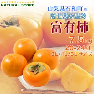 [12月31日必着] 富有柿 ふゆうがき  7.5kg 富士見の黒秀 3L 4L 5L サイズ 大玉 化粧箱 山梨県 石和町 甘柿 ふゆうがき 高級品 冬ギフト