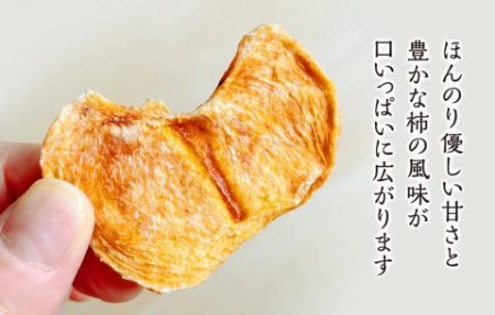 ドライフルーツ 柿チップ 500g 50g × 10袋 和歌山県産 果物使用 自社製造 