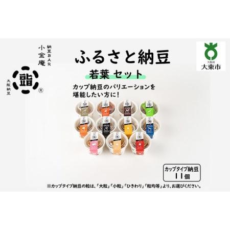 ふるさと納税 ふるさと納豆　若葉 ひきわりセット(カップ納豆11個）＜納豆BAR小金庵＞ 大阪府大東市