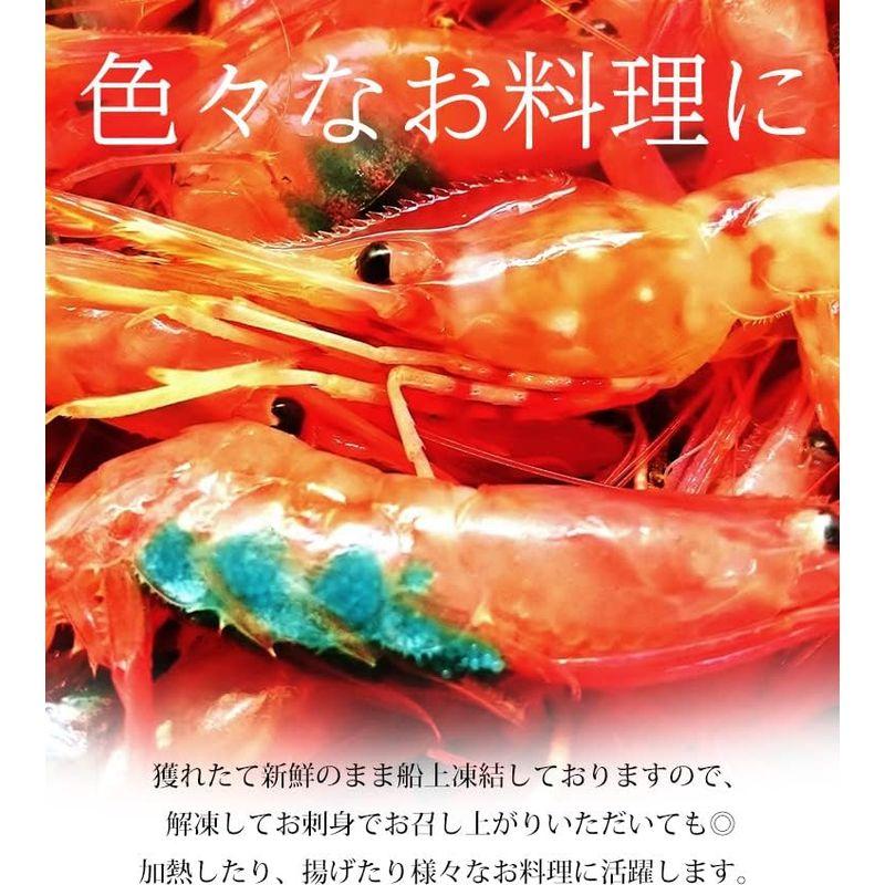 エビ 船上凍結天然甘えび 合計約1kg 2L?3Lサイズ 46?57尾 北晃水産 えび シーフード 海鮮 グルメ