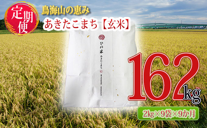 《定期便》18kg×9ヶ月 秋田県産 あきたこまち 玄米 2kg×9袋 神宿る里の米「ひの米」（お米 小分け）