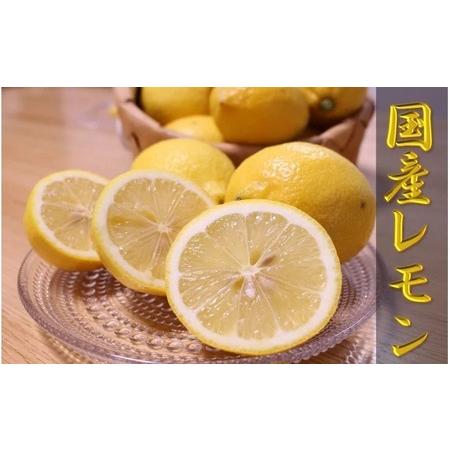 ふるさと納税 ZN6008n_和歌山県有田産レモン 3kg 和歌山県湯浅町