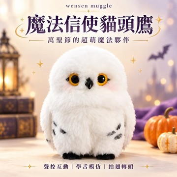 【台灣現貨】哈利波特 貓頭鷹 聲控互動錄音玩偶 站肩毛絨公仔 萬聖節巫師變裝配件 送禮