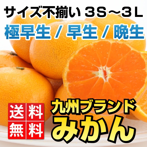 メガ割対象！ 早生 九州ブランドみかん 10kg サイズ不選別（訳あり 輸送保障込み）