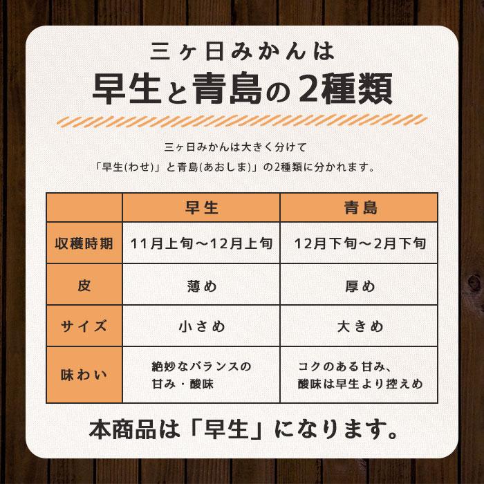 送料無料 みかん 三ケ日みかん 三ヶ日みかん ミカン 5kg 三ヶ日 三ケ日 青島 どうまいらぁ！ 小粒 S 3L 産地直送 ミカン 蜜柑 5キロ 静岡県 小粒 小玉 大粒