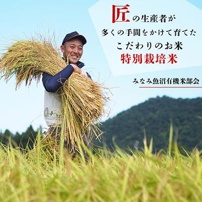 ふるさと納税 南魚沼市 特別栽培米南魚沼産こしひかり8割減 精米 2kg全3回