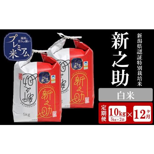 ふるさと納税 新潟県 柏崎市 令和5年産新米甘味の強いプレミアム米 新潟県認証特別栽培米 新之助 白米 10kg（5kg×2袋）×12回（計 120kg）[U063]