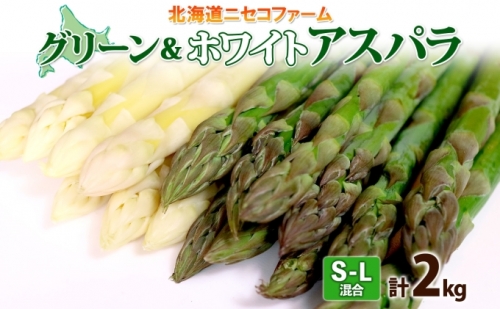 北海道産 アスパラガス グリーン ホワイト 2種 約1kg×2 計2kg S L サイズ混合 食べ比べ アスパラ 旬 朝採り 新鮮 お取り寄せ 産地直送 産直 野菜 農作物 詰め合わせ 国産 しりべしや ニセコファーム